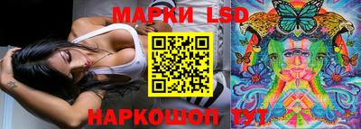 apvp Можга