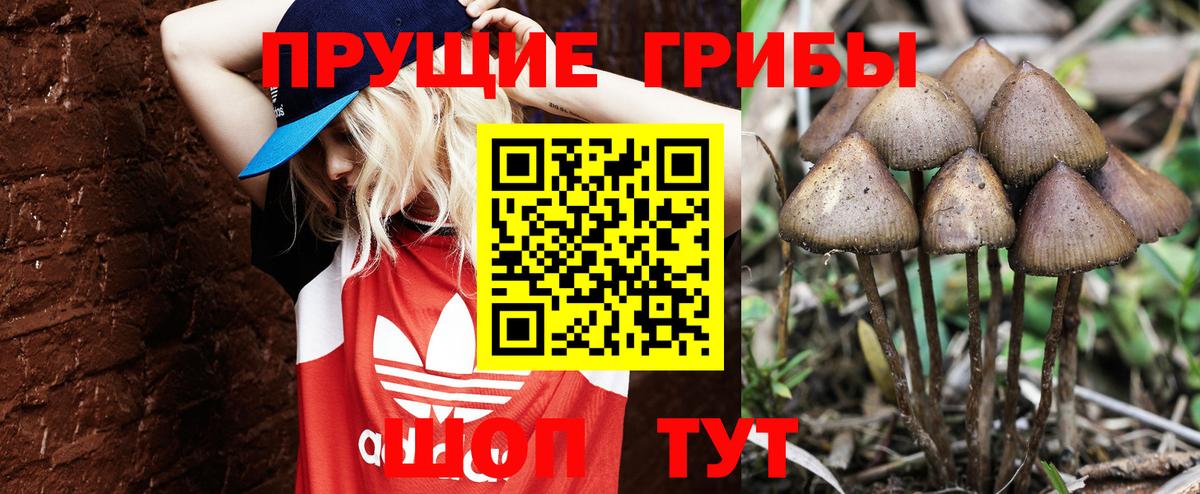 Галлюциногенные грибы ЛСД  Вход с VPN  Рассказово  Галлюциногенные грибы MAGIC MUSHROOMS 